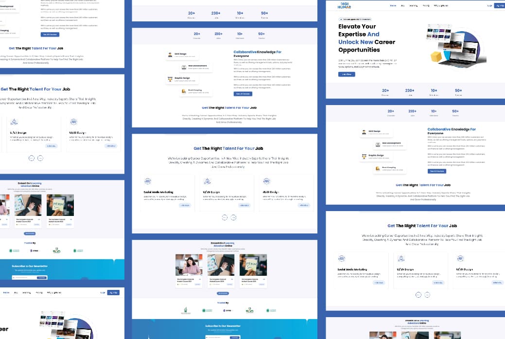 DigiHunar Website